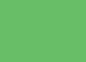 green slug